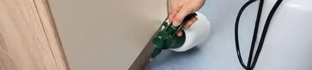 Bed bug exterminator treating baseboards and cracks with targeted spray in Cambridge, MA