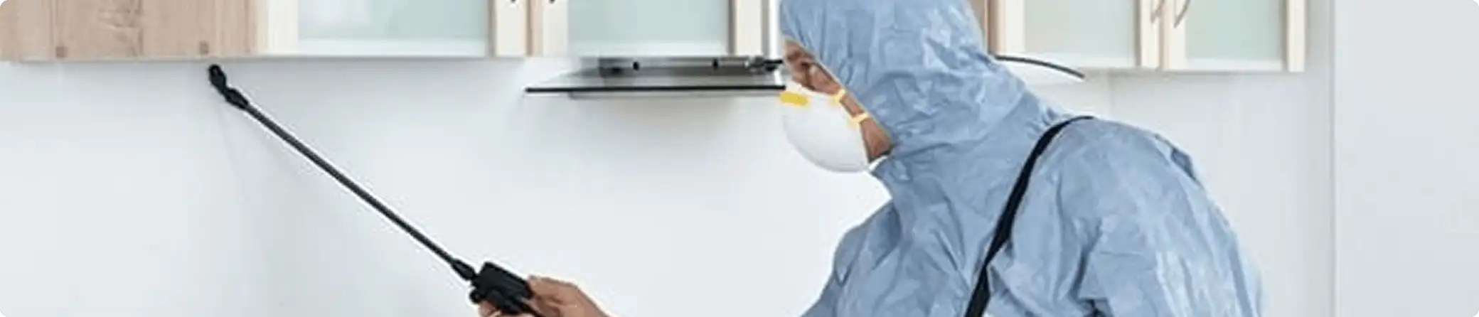 Pest control technician spraying along baseboards for indoor pest treatment in Cambridge, MA