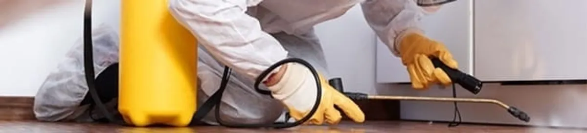 Roach exterminator treating cracks and crevices along kitchen baseboards in Cambridge, MA