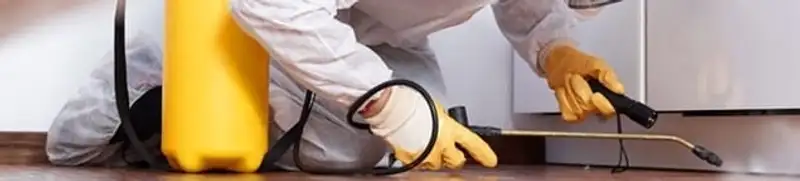 Roach exterminator treating cracks and crevices along kitchen baseboards in Cambridge, MA