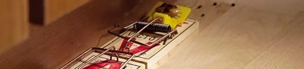 Rodent trap set indoors for rodent control and prevention in Cambridge, MA